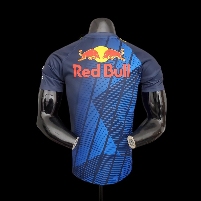 F1 Red Bull Gaming Edition 