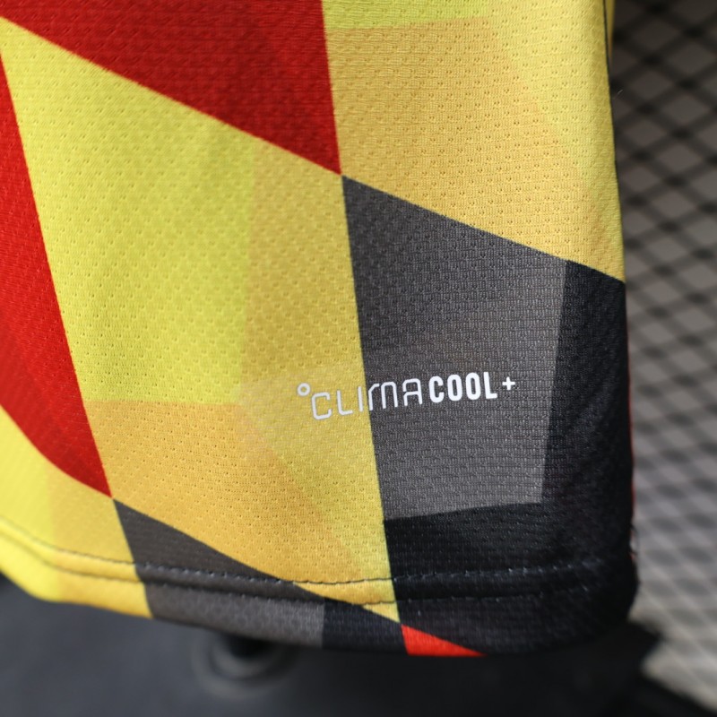 Player Version 26/27  Germany Special Edition Jersey